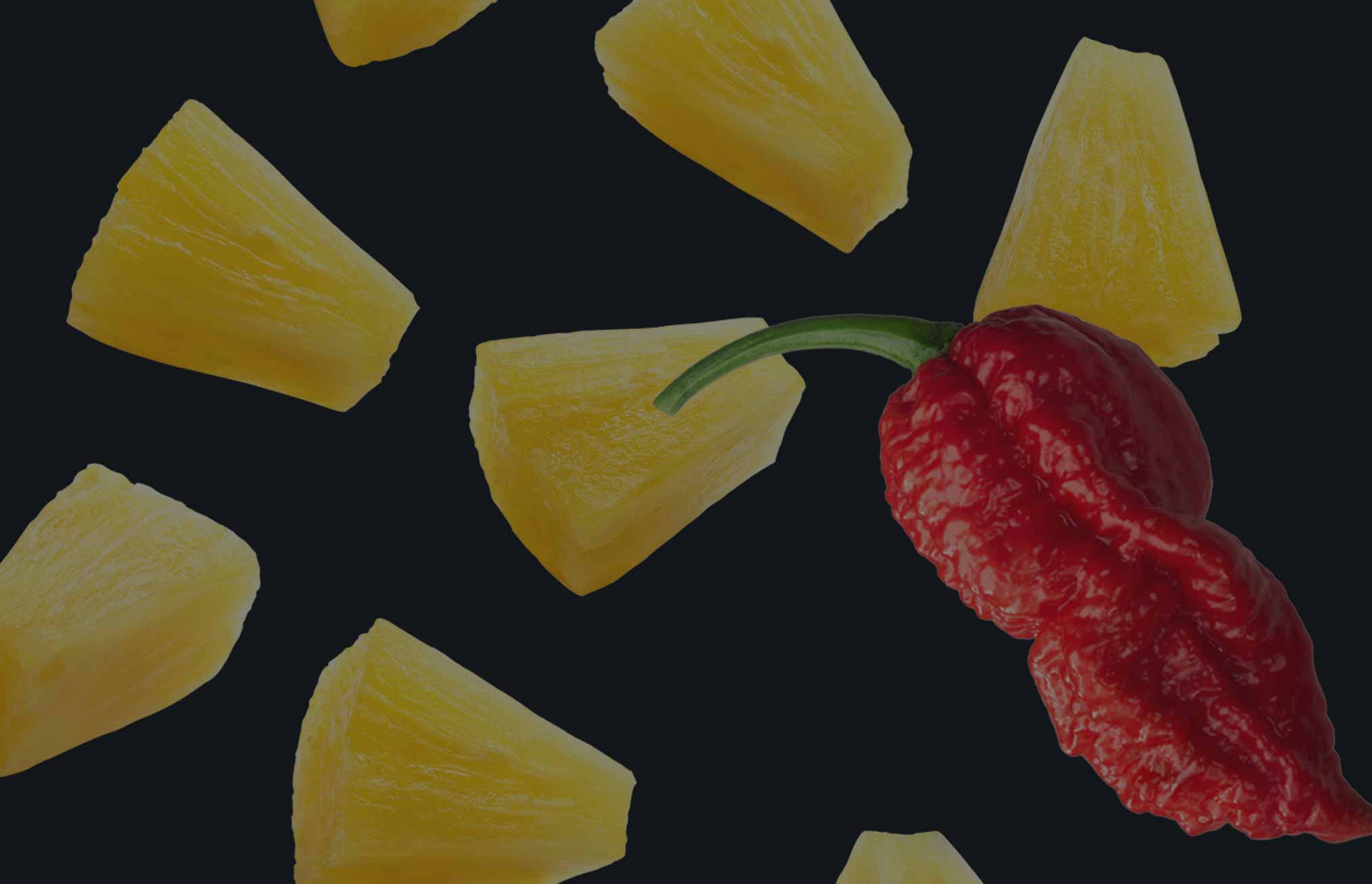 WhatsNew_Header_2.jpg